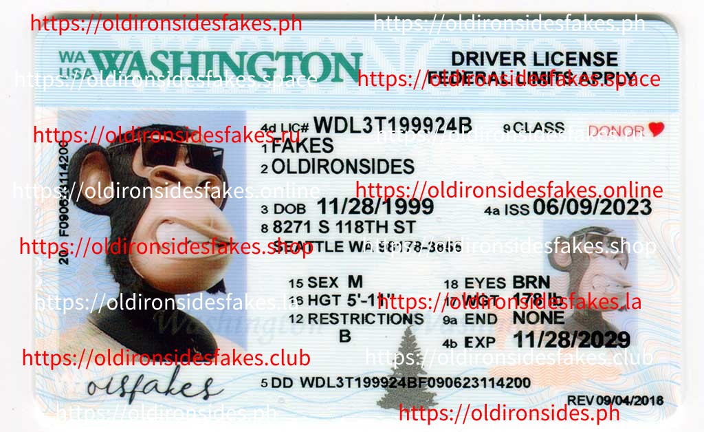 Washington Driver License(New WA)
